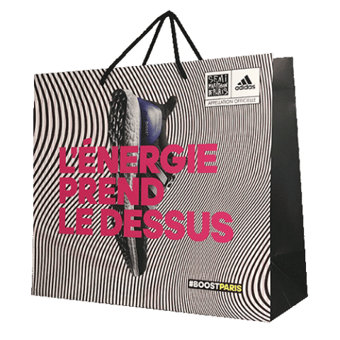 Sac luxe marque chausseur